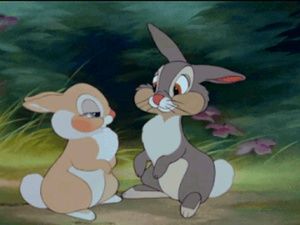 Meet your Posher, Edelsy